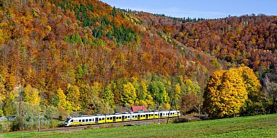 Dolnośląski Bilet Weekendowy ważny do 11 listopada-21128