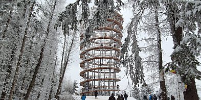 Dzikowiec w kadrze. Powiat Wałbrzyski szuka zdjęcia