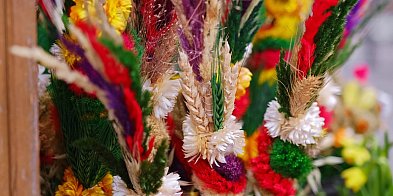 Konkurs na najpiękniejszą palmę w Szczawnie-Zdroju