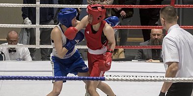 Turniej Bokserski 'Złoty Pociąg - Walka o Legendę' (FOTORELACJA)