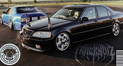 Mikołajkowy spot samochodowy w klimacie ''Fast & Furious'' dla zwierząt-21723