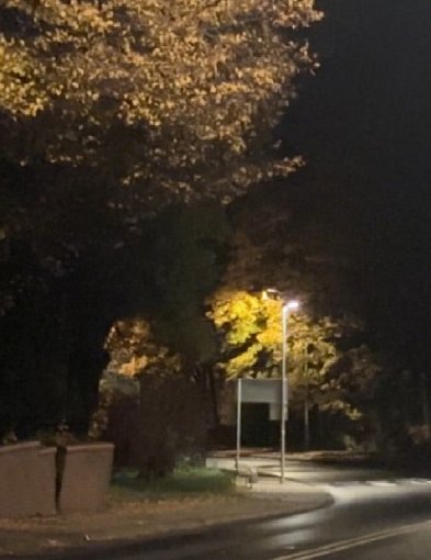 Sprawdź nowy utwór z Wałbrzycha-21780