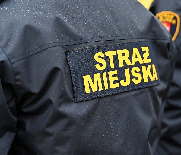 Zapuka strażnik, zapłacisz karę. Ruszyły kontrole w całej Polsce-20468