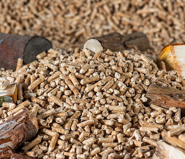 Drożeje popularny opał. Miliony Polaków dostaną po kieszeni tej zimy-20922