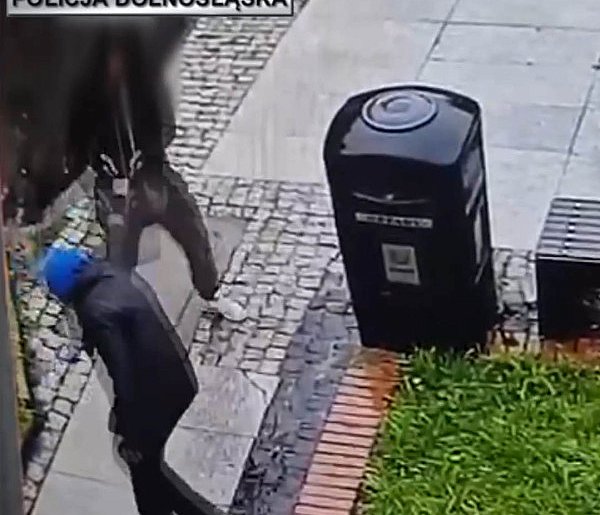 Brutalny atak na seniorkę pod okiem kamery (VIDEO)-20990