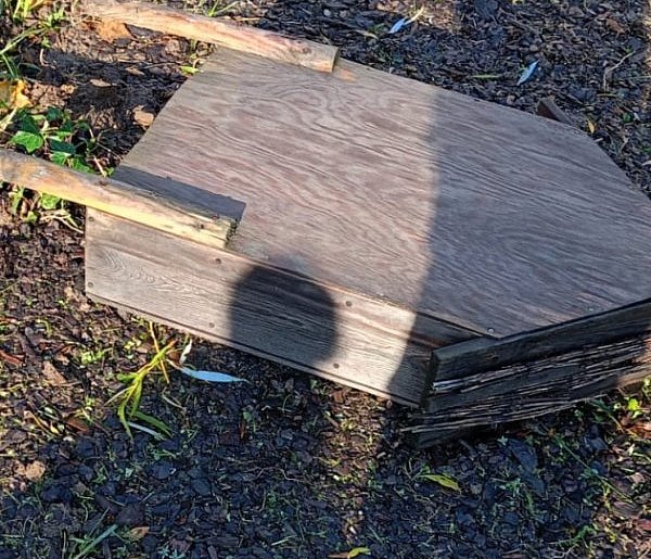 Wandale zniszczyli tzw. hotel dla owadów-21077