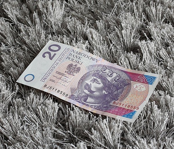 Nowy banknot o nominale 20 zł. Wchodzi do obiegu w tym tygodniu-21094