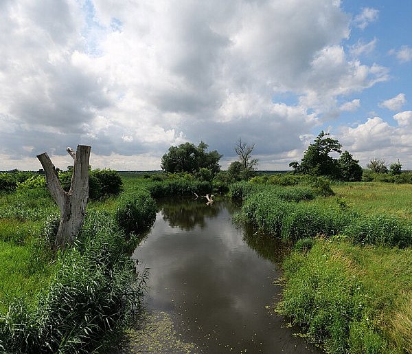 Co dalej z nowym parkiem narodowym? Minister klimatu zdradza plan po wecie-21270