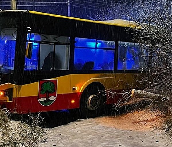 Autobus wjechał w ogrodzenie. Kierowca dostał 2 tys. zł mandatu-21612