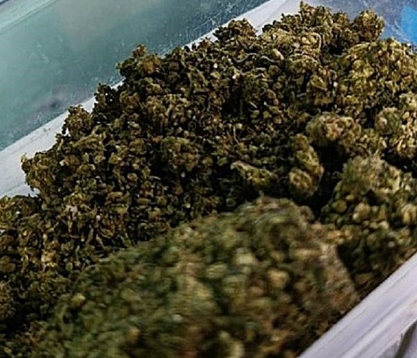 71-latek zatrzymany z marihuaną. Grożą mu 3 lata więzienia-22110