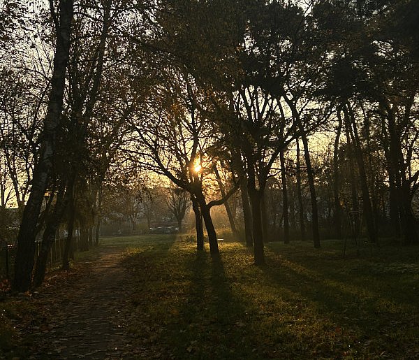 Nadchodzi najkrótszy dzień w 2025 roku. Sprawdź, kiedy przypadnie-22198