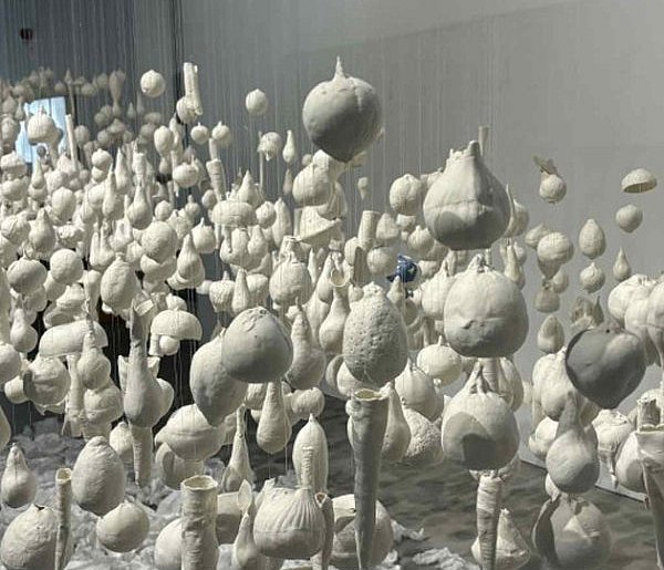 12 miesięcy w towarzystwie porcelany-22270