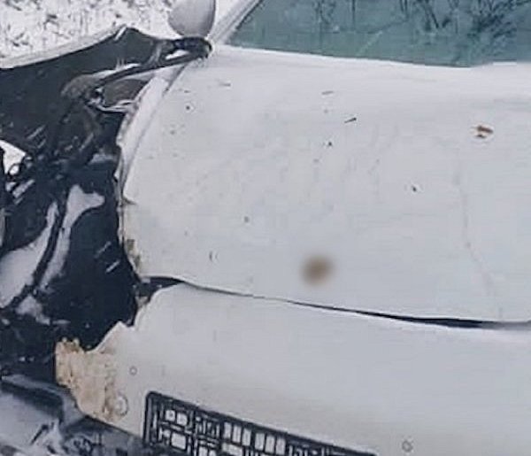 Uderzył autem w drzewo-22402