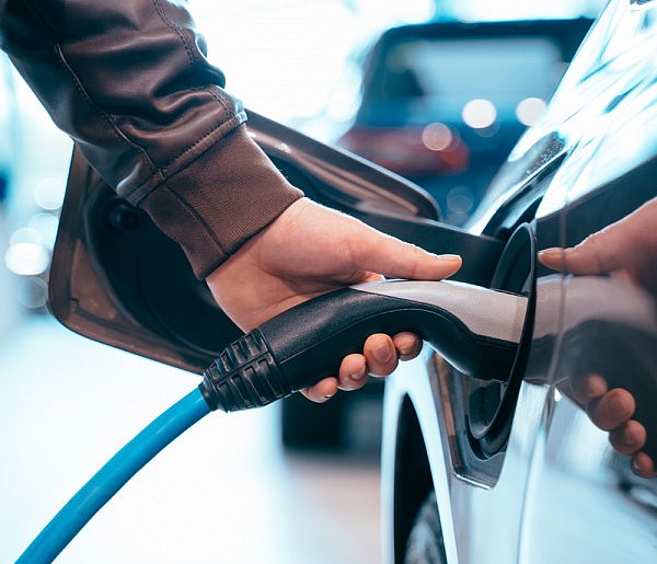 Coraz częściej dochodzi do takich kradzieży. Powody zaskakują-22761