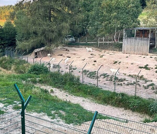 Mieroszów: Policja i prokuratura wkroczyły do ZOO Łączna
