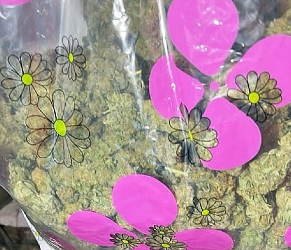 Stary Zdrój: Znaleziono kilogram marihuany