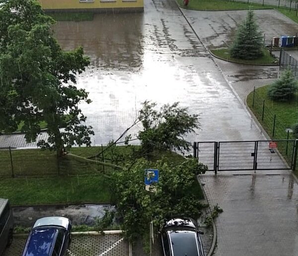 Połamane drzewa, zalane ulice. Burza nad Wałbrzychem