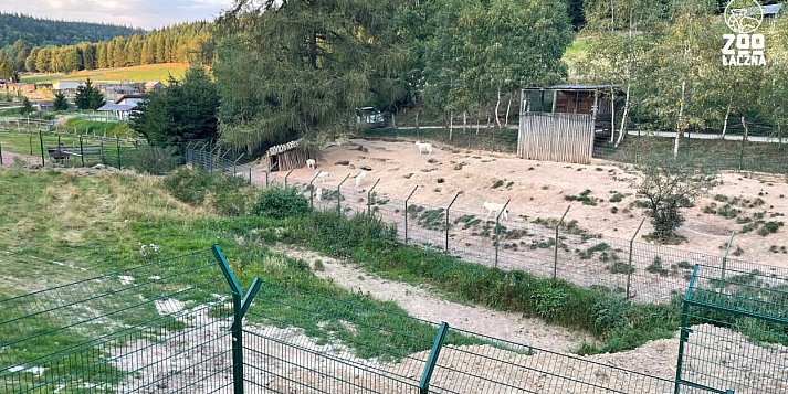 Co się działo w ZOO pod Wałbrzychem?