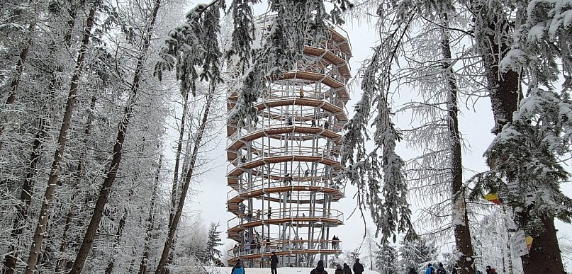 Dzikowiec w kadrze. Powiat Wałbrzyski szuka zdjęcia, które opowie region