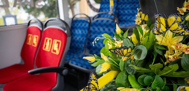 Kwietny autobus wyjeżdża na ulice Wałbrzycha