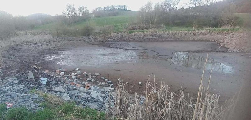 Gostków. Żaby zasypywane żywcem. I cisza przysypana przez gruz