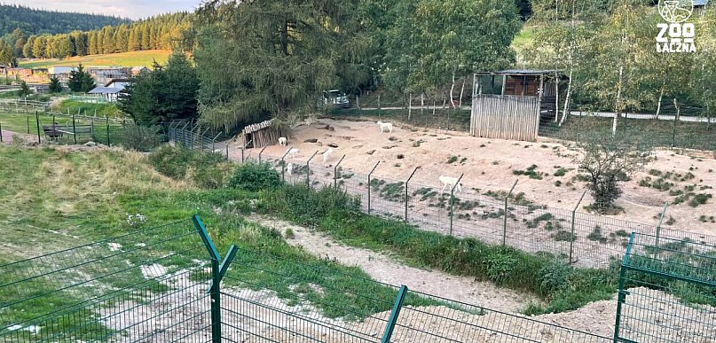 Mieroszów: Policja i prokuratura wkroczyły do ZOO Łączna