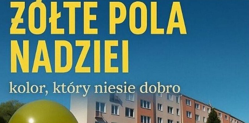 Żółte Pola Nadziei znów zakwitną w Wałbrzychu - 20409