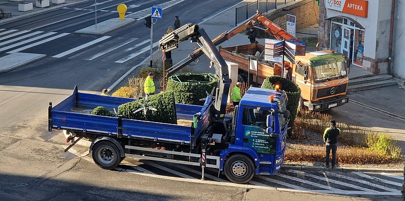 Robi się już świątecznie na Placu Grunwaldzkim - 21380