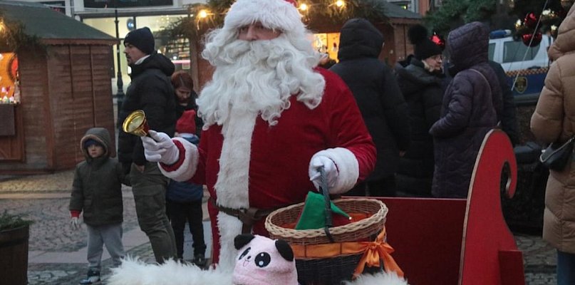 W piątek Wałbrzych rozświetli świąteczną choinkę na Rynku - 21858