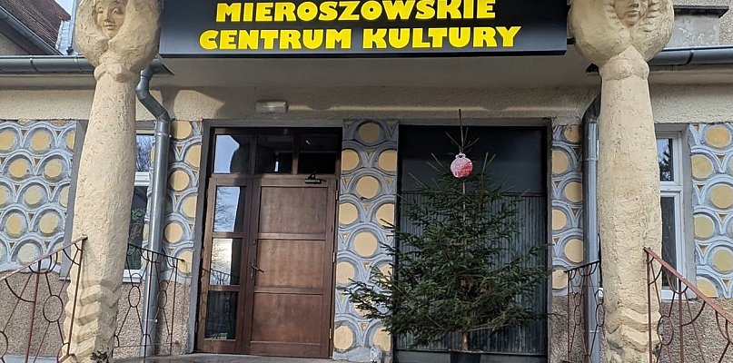 Mieszkańcy Mieroszowa wspólnie ubierają choinkę - 22017