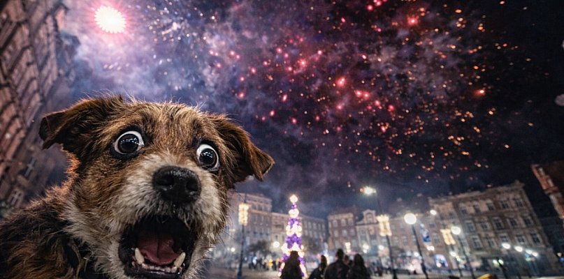 Sylwester i fajerwerki: ile kosztuje „bum” i skąd się wzięło? - 22327