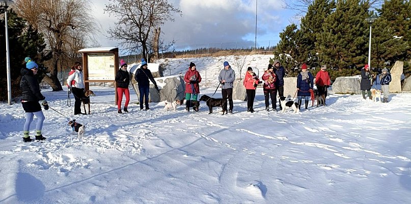 Aqua Pupil - przekazali 44 kg karmy w grudniu - 22453