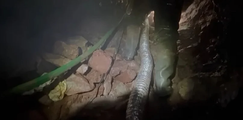 Rewolucyjne poszukiwania w Mieroszowie: sprzęt jak nigdy dotąd