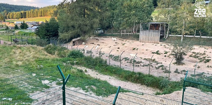 Mieroszów: Policja i prokuratura wkroczyły do ZOO Łączna