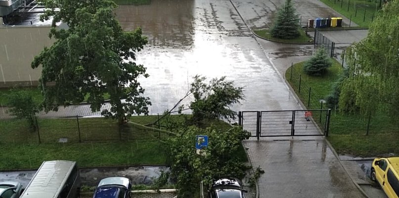 Połamane drzewa, zalane ulice. Burza nad Wałbrzychem