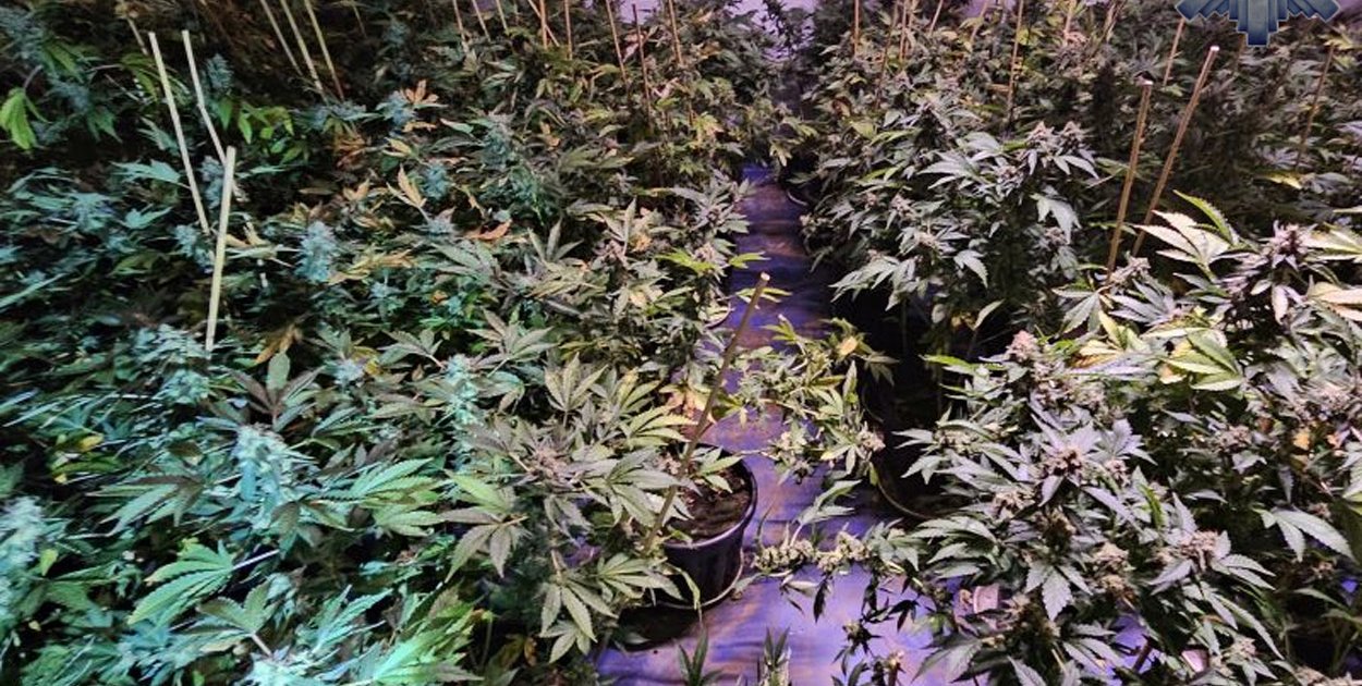 użyczone (KPP w Kamiennej Górze)