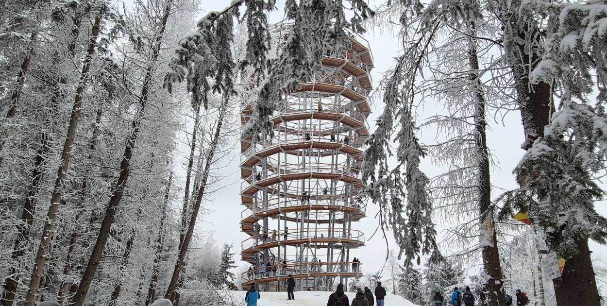 Dzikowiec w kadrze. Powiat Wałbrzyski szuka zdjęcia, które opowie region
