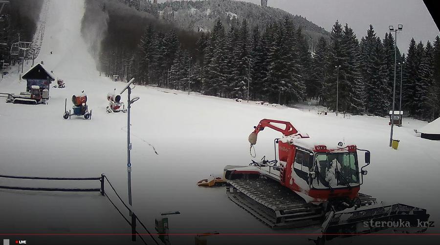 Kamerka na Dzikowcu - 11 stycznia 2026